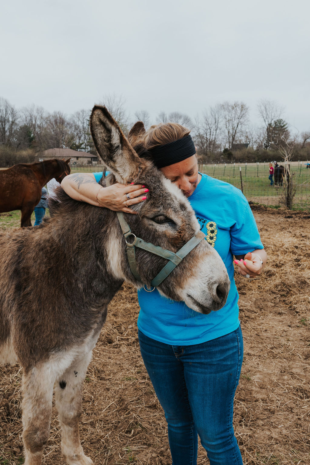 Animals at Angels Acres